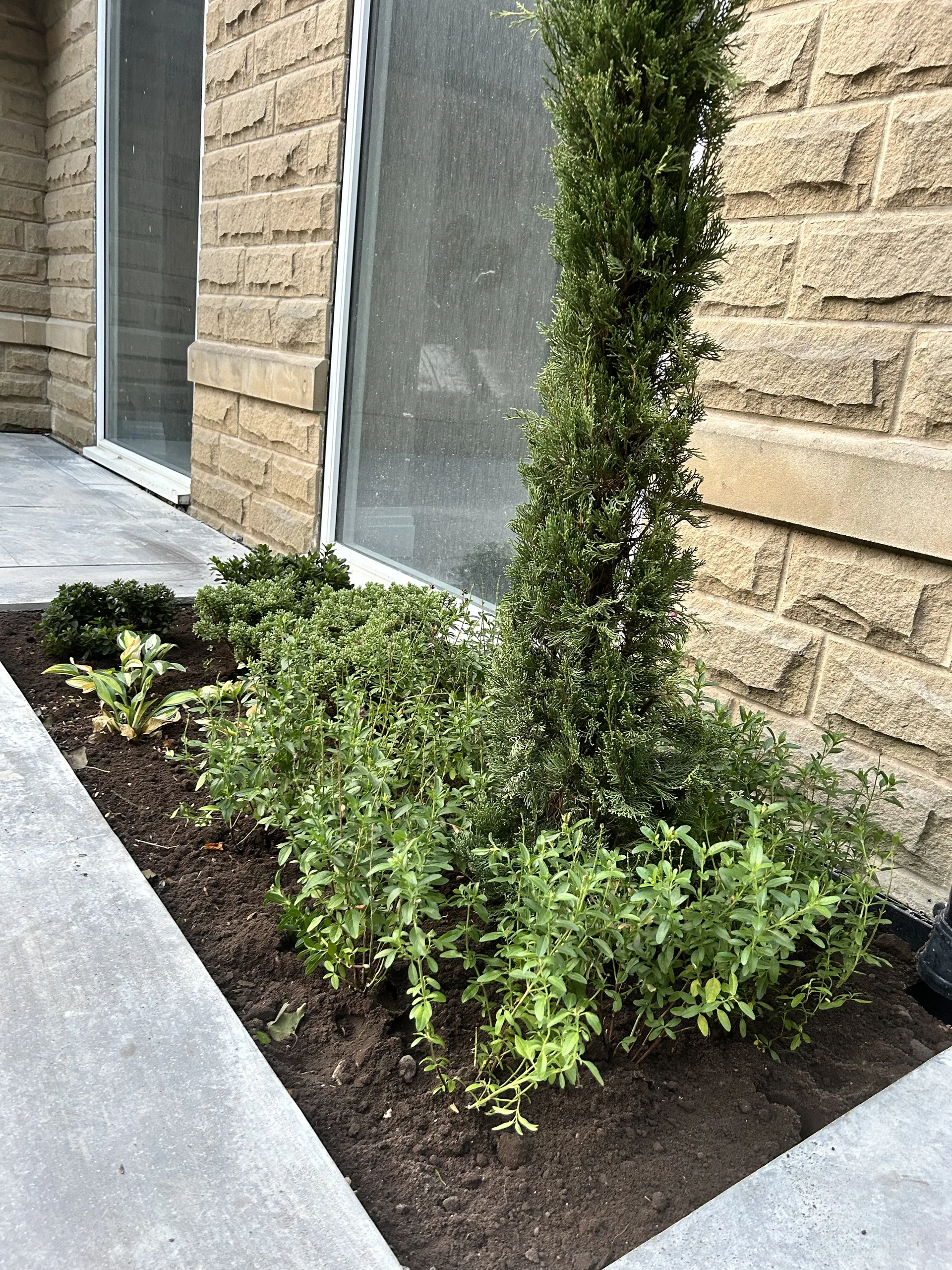 Soft landscaping work in Stockport (3)